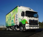 Curtain Side Truck Bodies